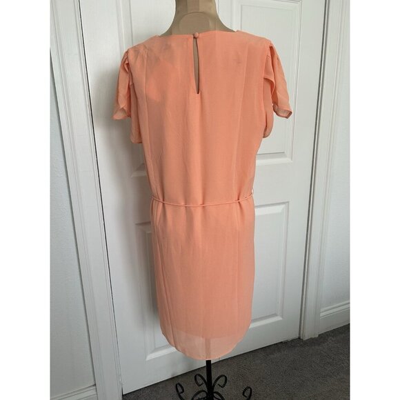 Naked Zebra V-Neck Short Tulip Sleeve Chiffon Shift Dress Peach Size M - Picture 3 of 11